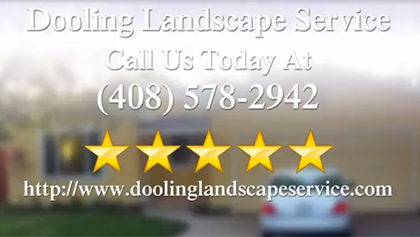 Landscap services video