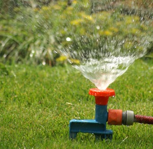 Sprinkler System Installation in San Jose