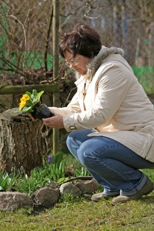 Shrubs, Trees for Planting in San Jose