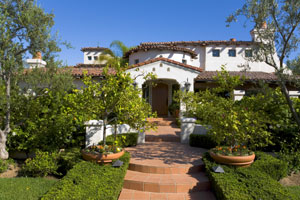 Landscape Maintenance & Renovation in San Jose