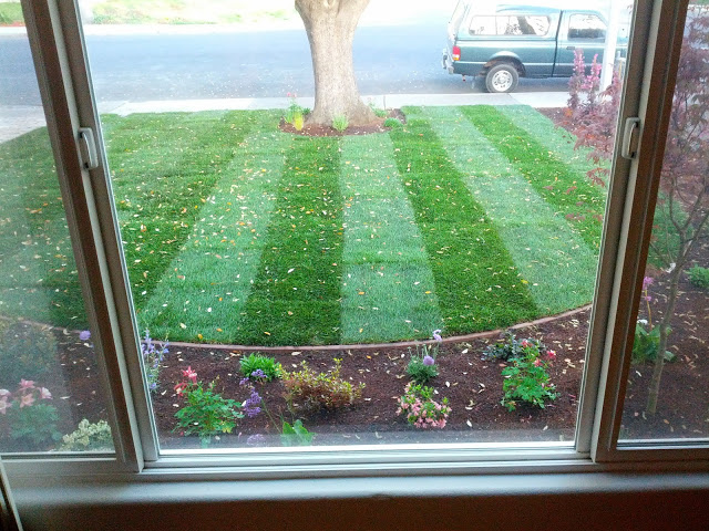 SOD Installation in San Jose 