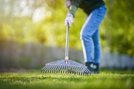 How to clean a Landscape? Landscape Seasonal Clean-Up and Renovation Guide | Revive Your Yard for Summer