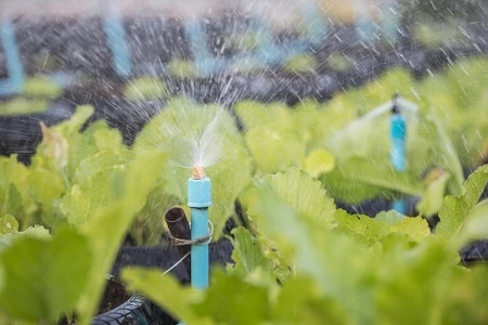 How Drip Irrigation Can Revolutionize Your Landscape Maintenance