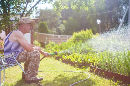 how to protect your garden  from heatwaves