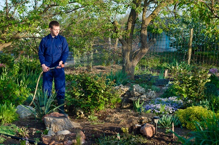 Why choose local landscaping services for your garden