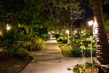 Outdoor Landscape Lighting in San Jose