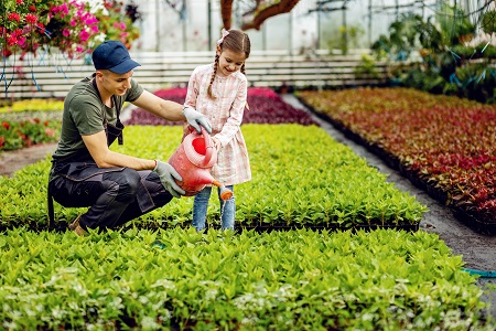 Drought Resistant Landscaping in San Jose