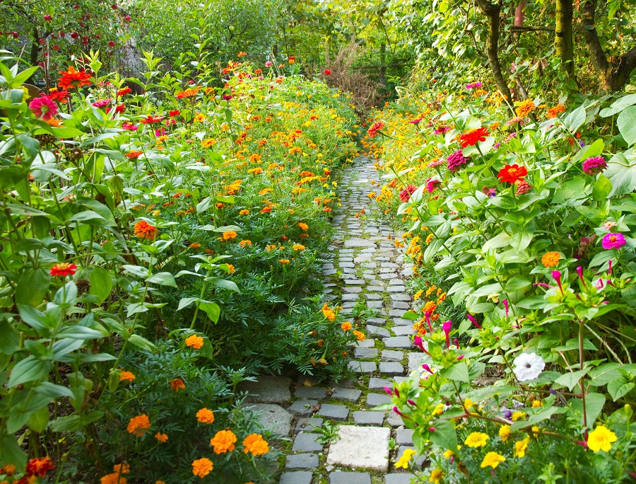 Tips to get your garden ready for summer