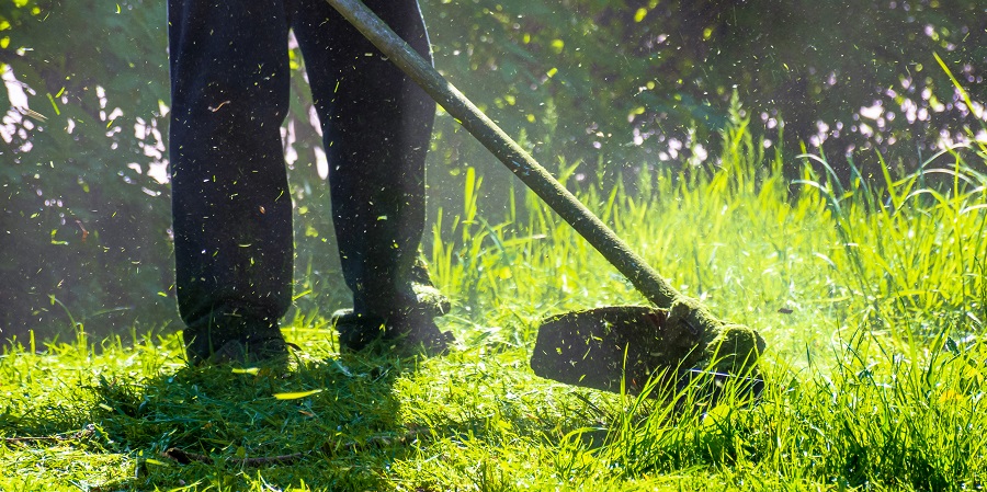 Landscaping and Lawn Maintenance