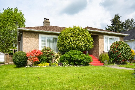 Drought-Tolerant Landscaping, San Jose